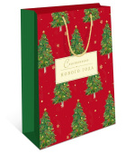 НГ Пакет бумажный AB 26х32см АртД