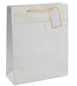 Пакет бумажный L 26х32см Тонкие линии Дизайн №1 Светлое серебро Металлик