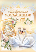 Прекрасным молодоженам! МирП