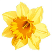 Украшение на скотче Жёлтый нарцисс Праздник (20шт)