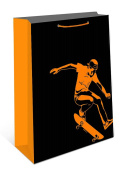 Пакет бумажный AB 26х32см АртД