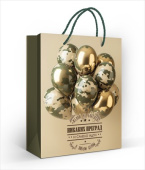 Пакет бумажный M 18х23см Никаких преград Праздник