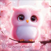 Открытка мини С нежностью... Праздник (20шт)